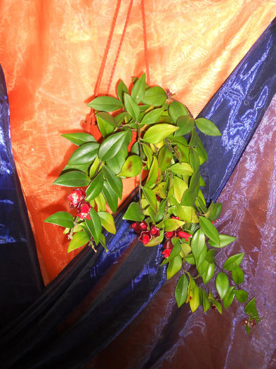 DSCN6901 - Expo violete  mai 2014