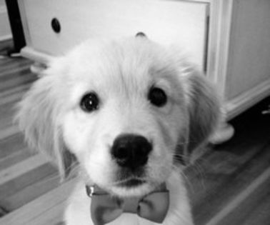 JukonMijingAngelDream - xx__Colours__xx