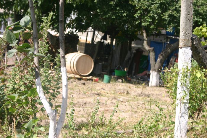 Изображение 449