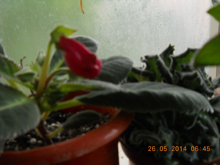 003 - MAI 2014