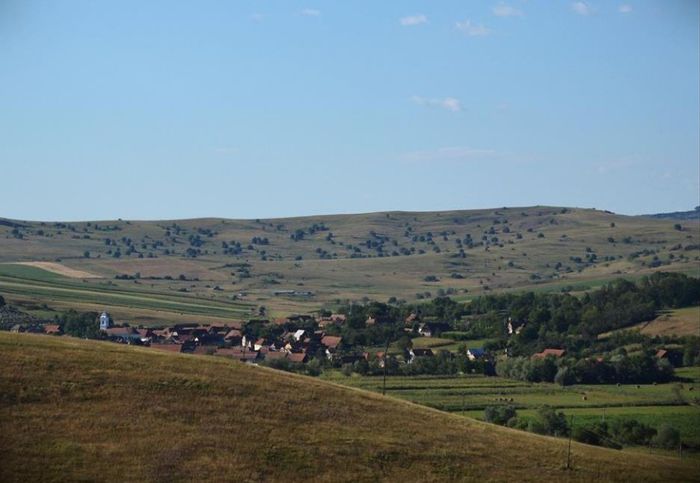 VEDERE SPRE NORDUL SATULUI A HOTARULUI. - Un sat denumit MICA AMERICA   PALOS ARDEAL