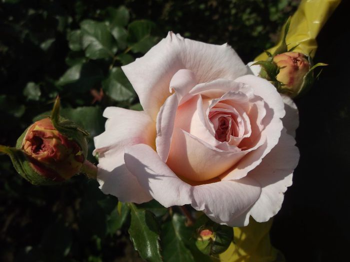063