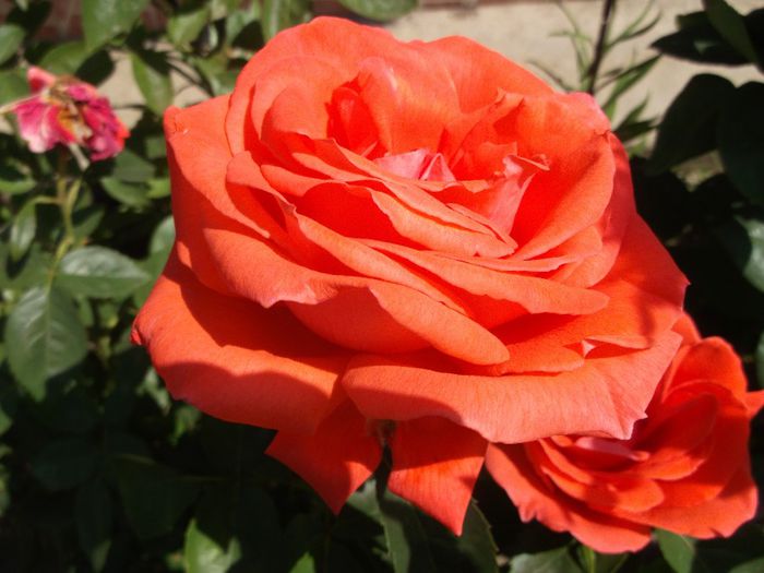 068