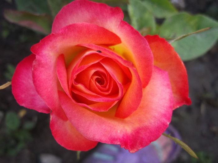 078