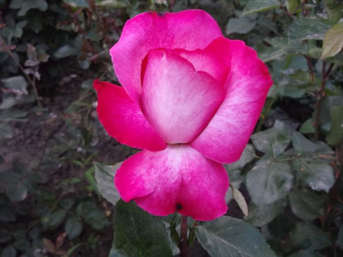 084