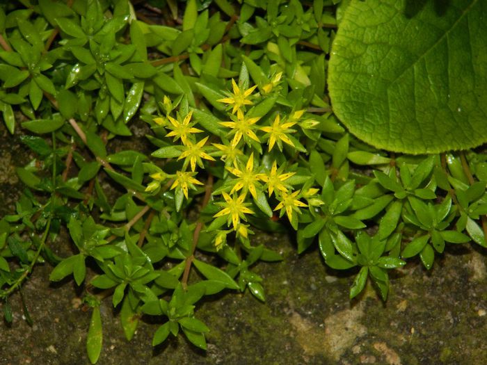 DSCN0474 - MAI_2_2014