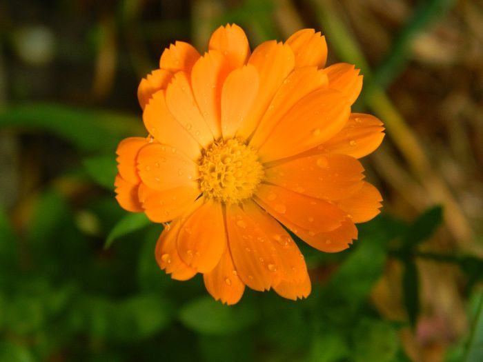 DSCN0557 - MAI_2_2014