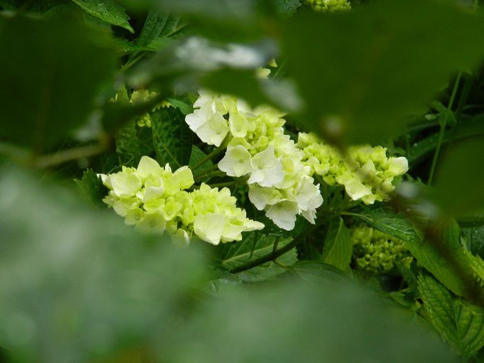 DSCN0611 - MAI_2_2014