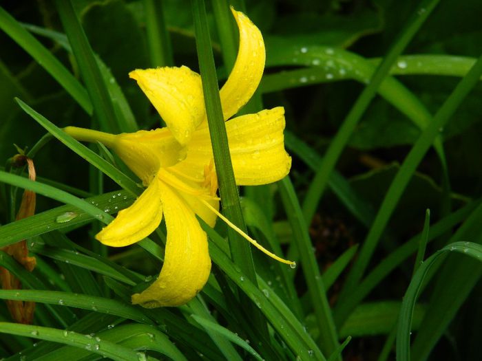 DSCN0612 - MAI_2_2014