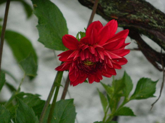 DSCN0636 - MAI_2_2014