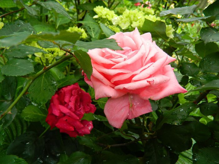 DSCN0652 - MAI_2_2014