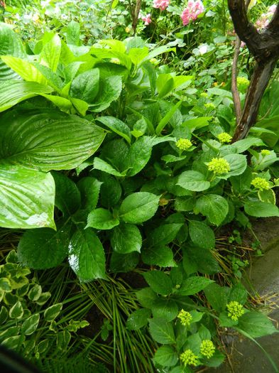 DSCN0656 - MAI_2_2014