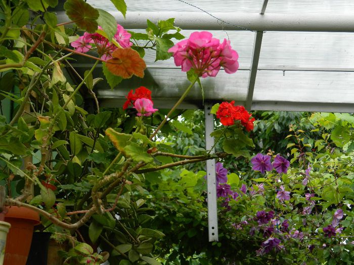 DSCN0696 - MAI_2_2014