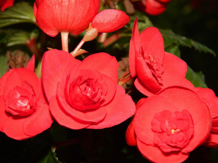 DSCN0741 - MAI_2_2014