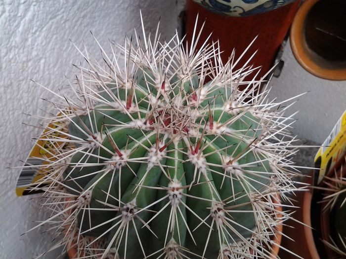 20140527_124318