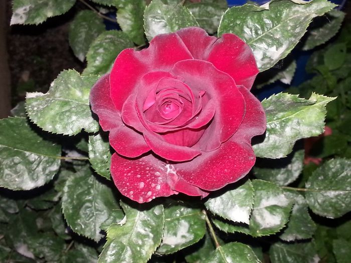 20140526_204605