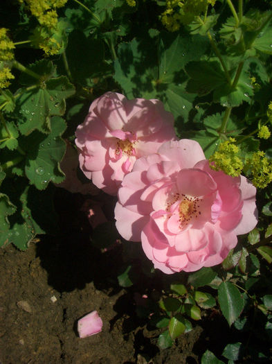 CIMG9553