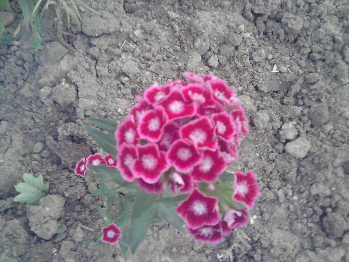 018