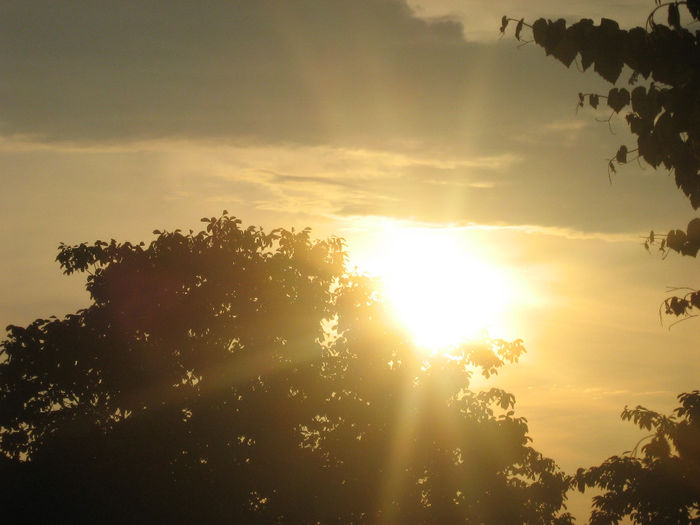 apus de soare 005