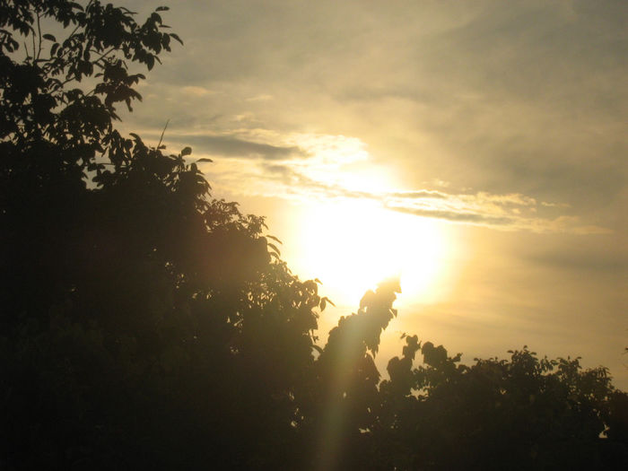 apus de soare 001