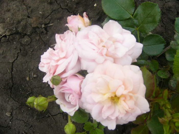 P1220170