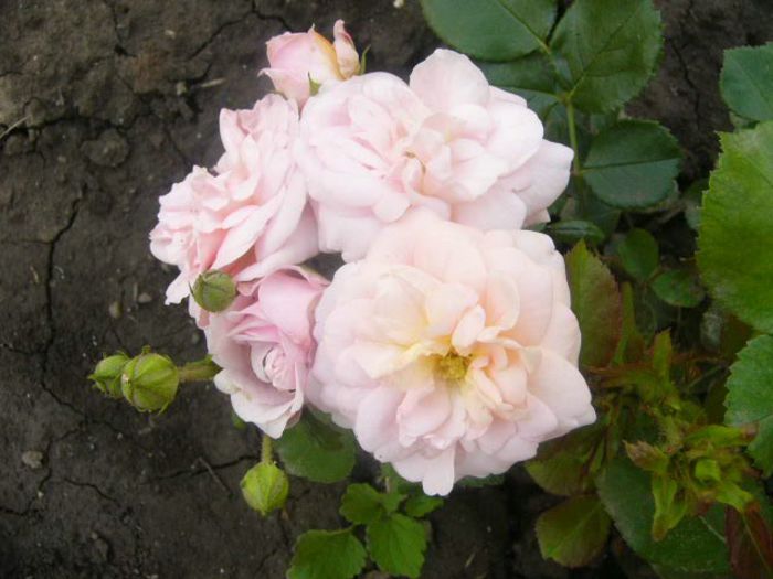 P1220171
