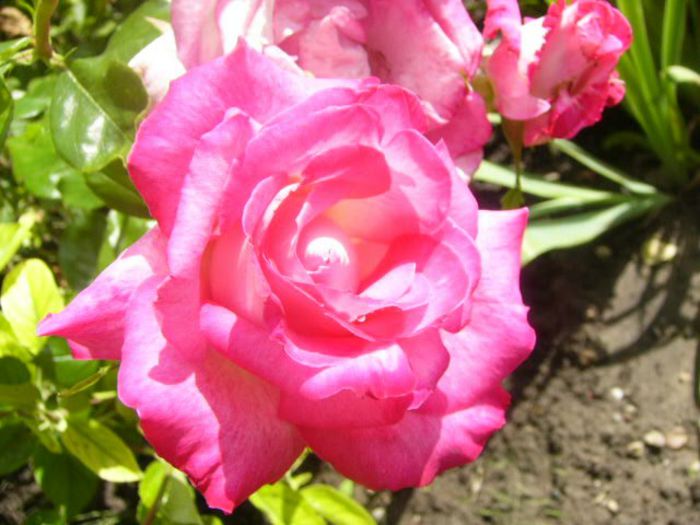 P1220175