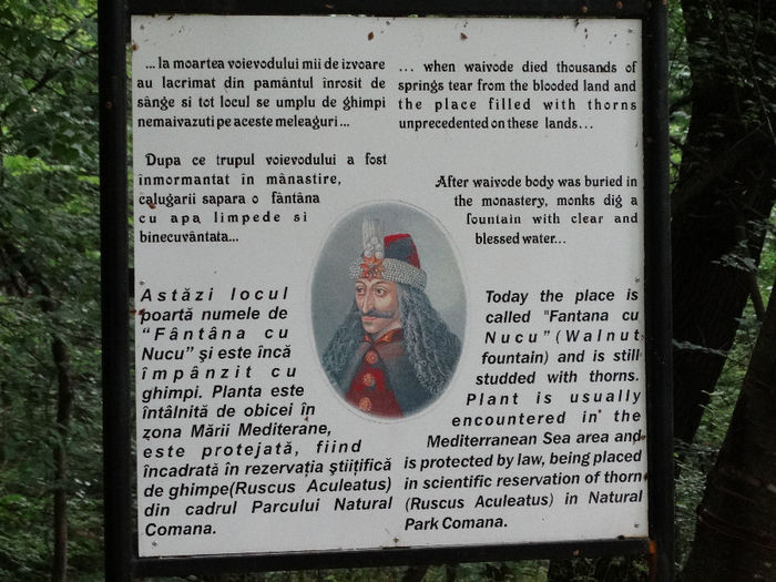 DSC00634 - Parcul natural Comana