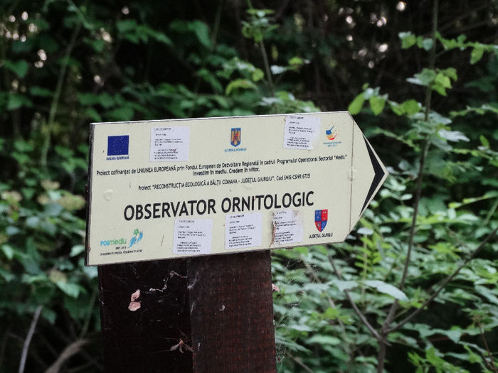 DSC00645 - Parcul natural Comana