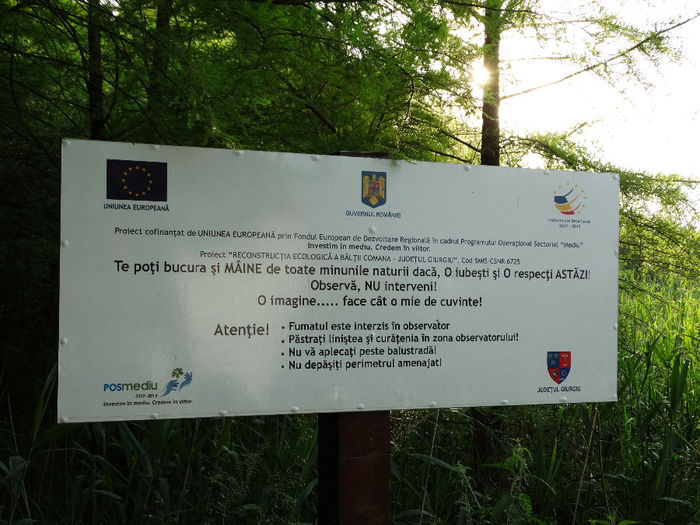 DSC00635 - Parcul natural Comana