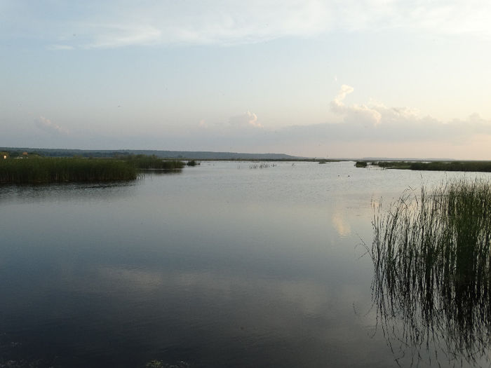 DSC00677 - Parcul natural Comana