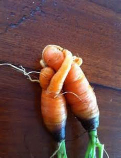 BPHD42CAZW7L91CAIK4DP6CAVK0AI7CAABSON5CAZK3VS9CAH9ZSEZCADVBT9BCAJ2GEP8CAXWF8KNCAHBI04SCA5WLKVXCAK6X9