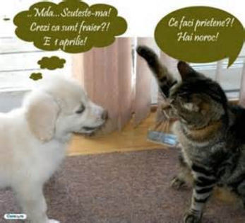 WQU14TCA301105CAPAASWECATNLLF6CAS0UJXQCANFS9TJCA5MHGMECAKMDMMMCAGWGX0OCAFNMJJQCA8QGAODCAKY445HCAXI4O