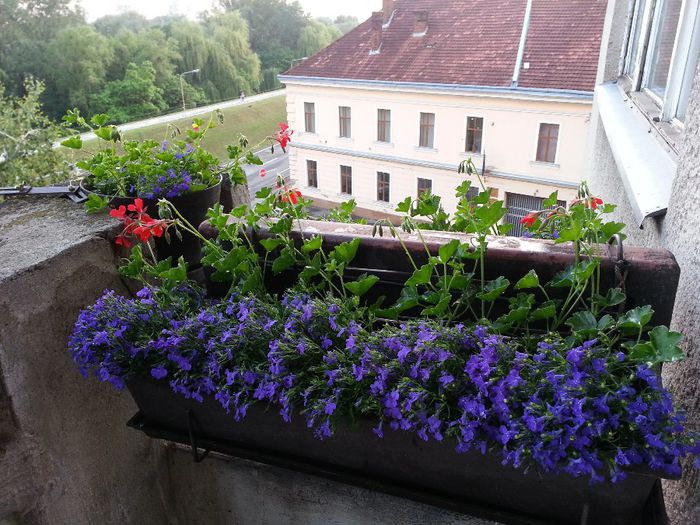 20140527_205209 - balcon 2014