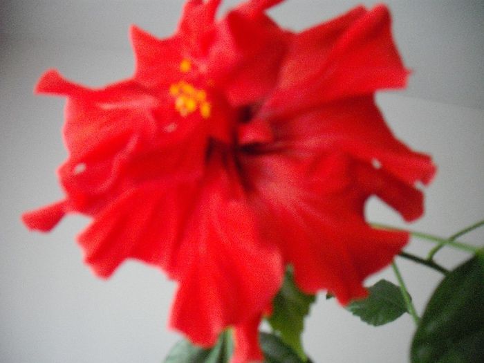 2014-05-03 09.56.55