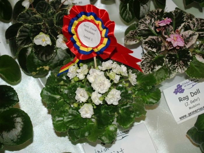 P1012390