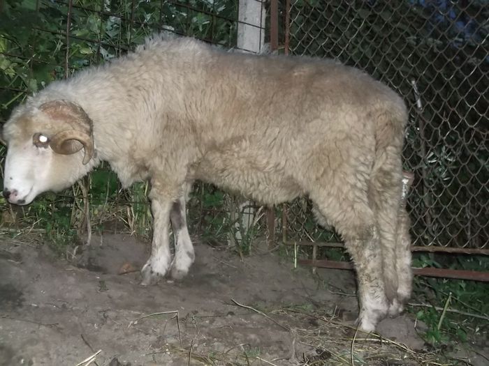 Picture 247 - MiORi 2014