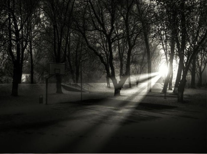  - acelasi parc iarna