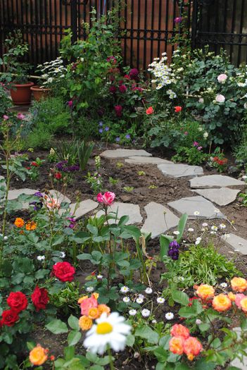 gradina 26 mai - yyy 2014 gradina mea