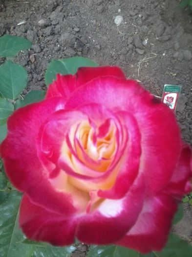 20140529_095015