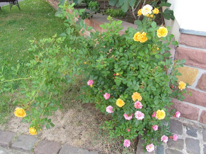  - Diverse 1 - Plimbari