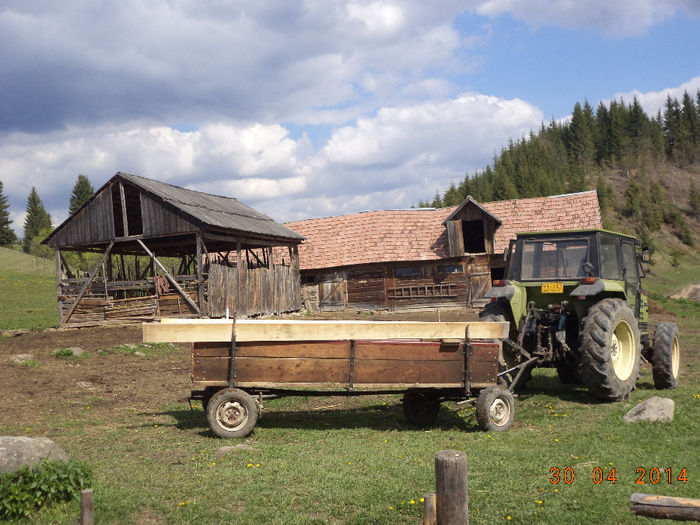 La saivan pe Calimanel la Pascu - Plecarea la stana in Dealul Alb Calimani 11 05 2014