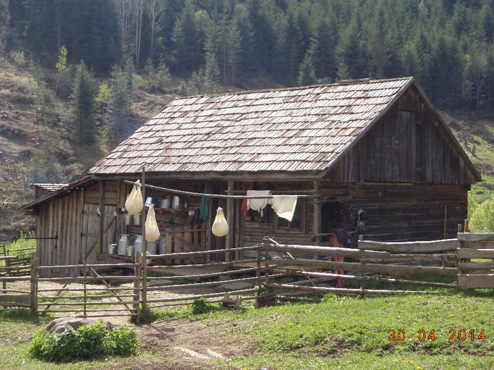Stana lui Pascu Ioan de pe Calimanel