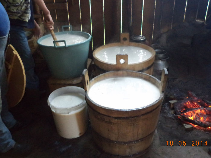 Lapte din belsug,,, - Plecarea la stana in Dealul Alb Calimani 11 05 2014