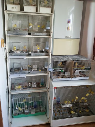 20140526_143235; Roller Harz 2014
