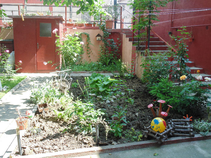 DSC02345 - Curtea si gradina