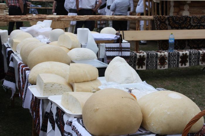 1274733_578695345523433_282921978_o