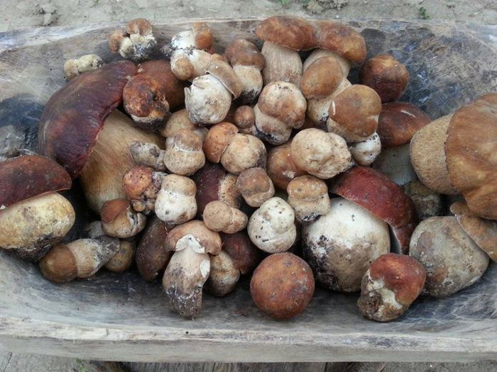 1470085_610199025706398_2019900588_n