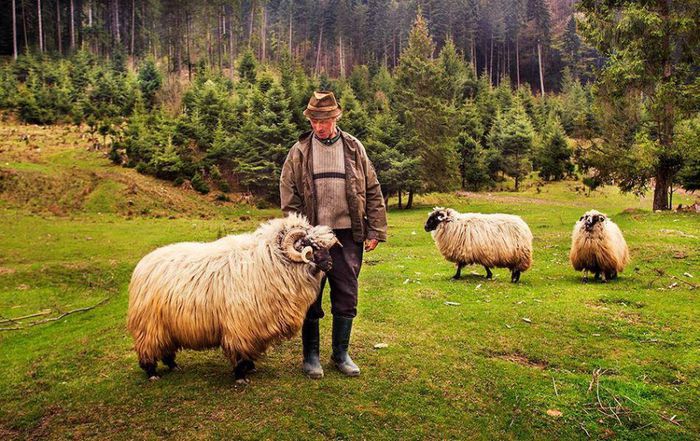 1621927_688967314496235_43238783864123013_n - Acelasi sat minunat