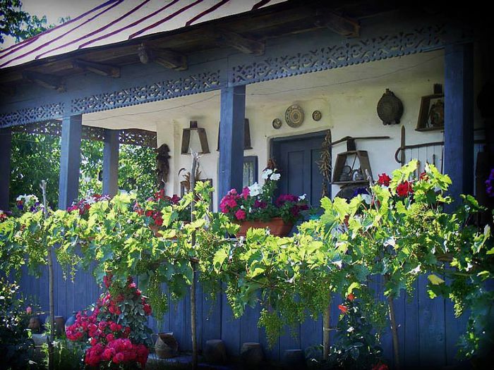 1654089_734426413247815_1229316199_n - Acelasi sat minunat